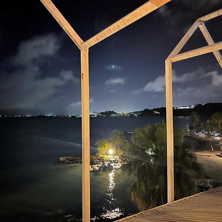 Appartement Les Yuccas, Vue Sur La Mer Et Les Montagnes 哥西尔 外观 照片