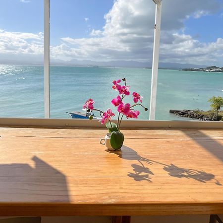 Appartement Les Yuccas, Vue Sur La Mer Et Les Montagnes 哥西尔 外观 照片