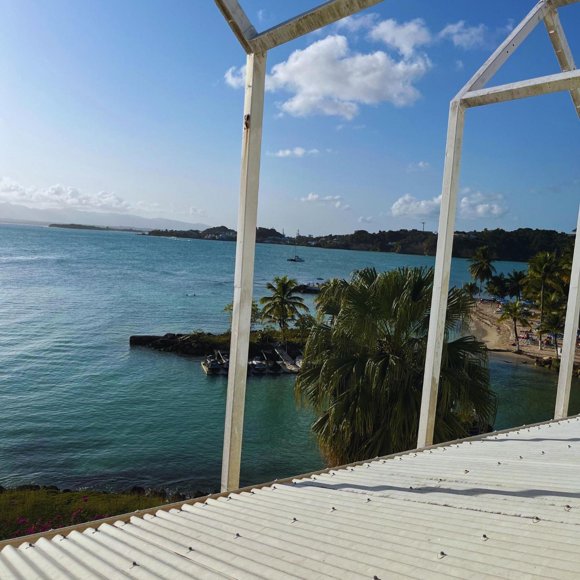 Appartement Les Yuccas, Vue Sur La Mer Et Les Montagnes 哥西尔 外观 照片