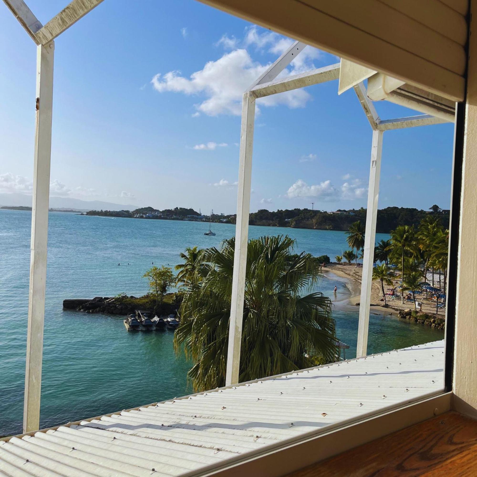 Appartement Les Yuccas, Vue Sur La Mer Et Les Montagnes 哥西尔 外观 照片