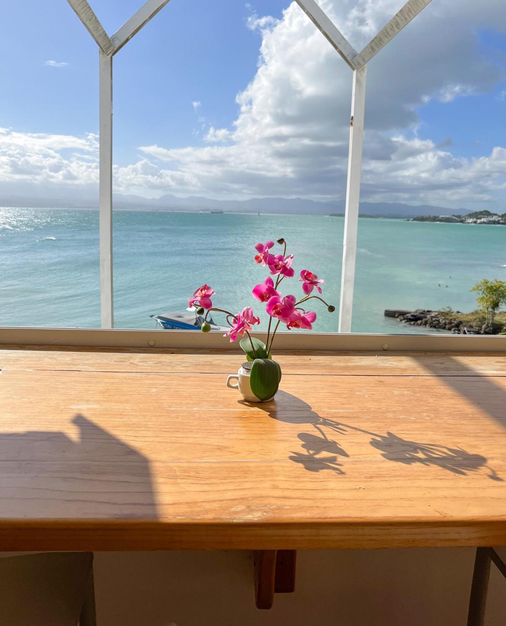 Appartement Les Yuccas, Vue Sur La Mer Et Les Montagnes 哥西尔 外观 照片