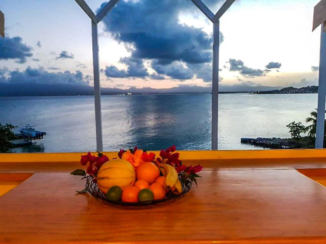 Appartement Les Yuccas, Vue Sur La Mer Et Les Montagnes 哥西尔 外观 照片